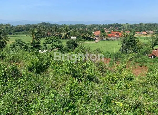 image HARGA DAMAI SIAP DIPINANG  (3)