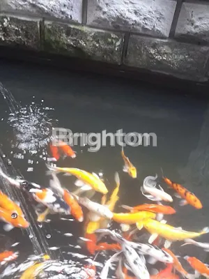 image RUMAH MEWAH MURAH (17)