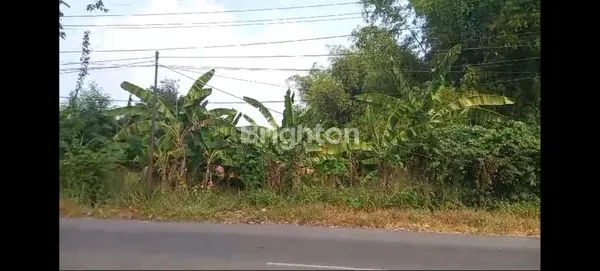 image TANAH STRATEGIS, NOL JALAN RAYA LAKARSANTRI, ZONA KUNING, SURABAYA (1)