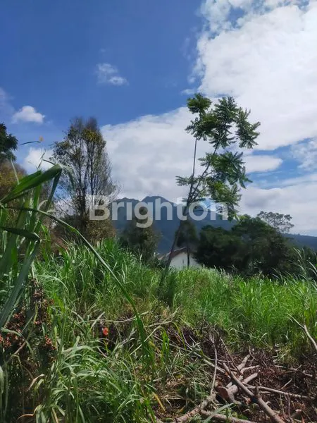 image TANAH DIJUAL KOPENG PINGGIR JALAN PROPINSI  (1)