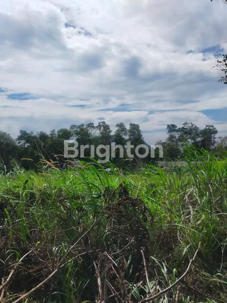 image TANAH DIJUAL KOPENG PINGGIR JALAN PROPINSI  (3)