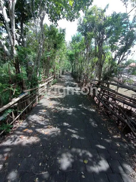 image DIJUAL TANAH ISTIMEWA PERSIS DI BELAKANG PATUNG GWK JIMBARAN BALI (5)
