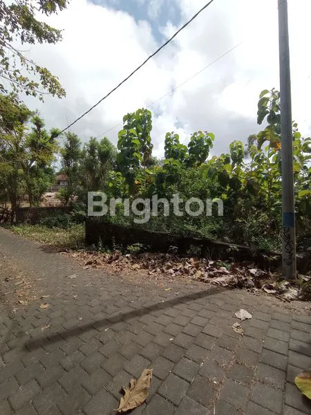 image DIJUAL TANAH ISTIMEWA PERSIS DI BELAKANG PATUNG GWK JIMBARAN BALI (6)