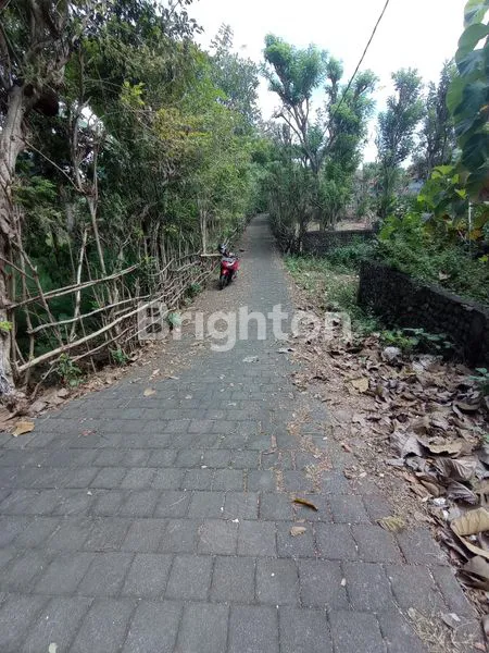image DIJUAL TANAH ISTIMEWA PERSIS DI BELAKANG PATUNG GWK JIMBARAN BALI (3)