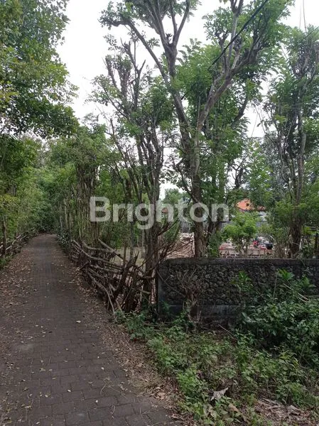 image DIJUAL TANAH ISTIMEWA PERSIS DI BELAKANG PATUNG GWK JIMBARAN BALI (7)