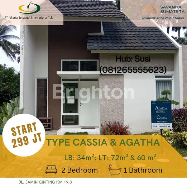 image SAVANNA SUMATERA TYPE CASSIA & AGATHA (2)