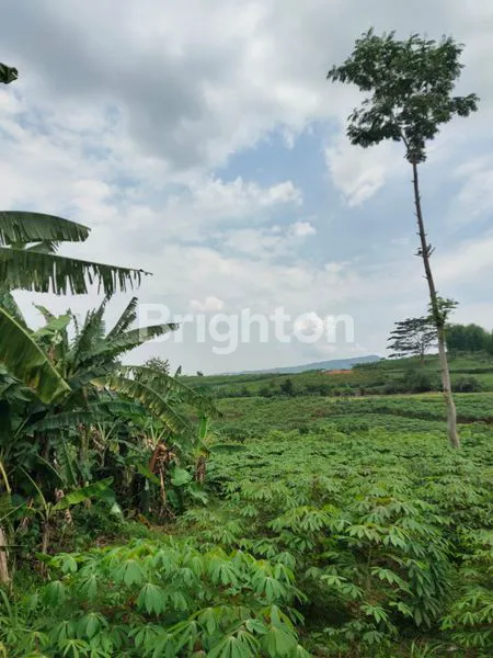 image TANAH LUAS DI SENTUL BOGOR (2)
