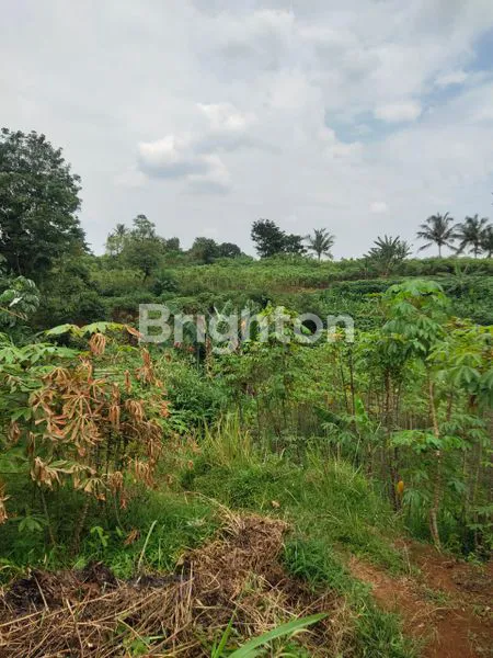 image TANAH LUAS DI SENTUL BOGOR (5)