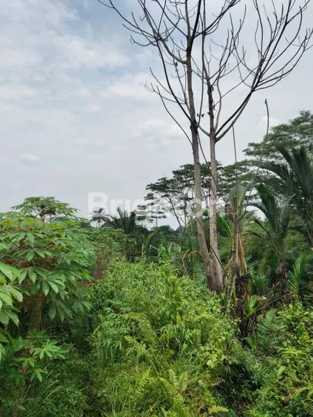 image TANAH LUAS DI SENTUL BOGOR (8)