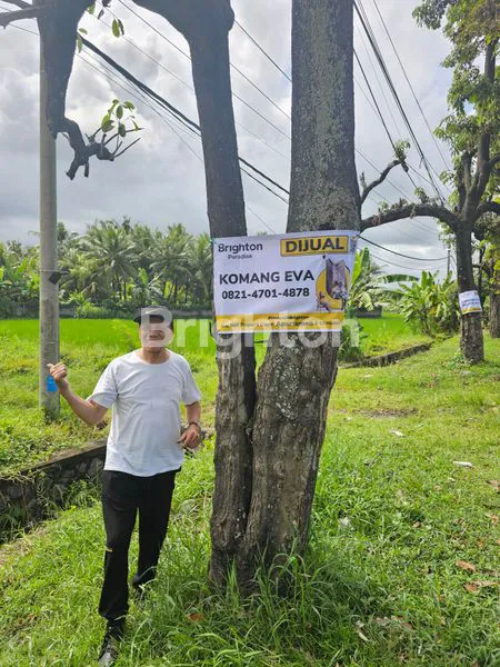 image LAHAN DI PINGGIR JALAN IB MANTRA (3)