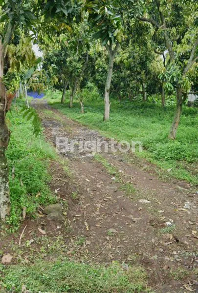 image KAVLING LAHAN DIJUAL (1)