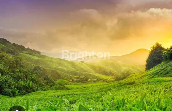 Gambar Property MURAH HARGA SANGAT BU TANAH NOL JALAN PROPINSI