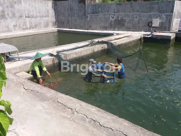 image RUMAH LUAS NYA SANGAT BAGUS UNTUK TEMPAT USAHA..... (3)