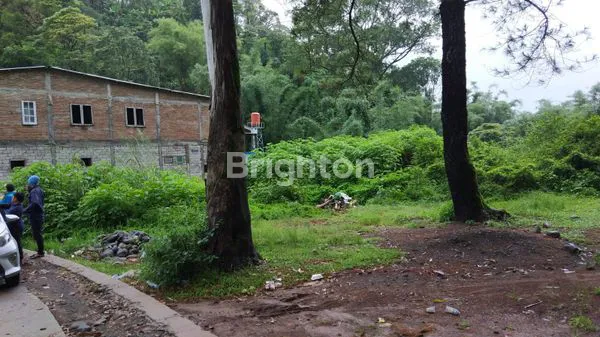 image TANAH MALINO (2)