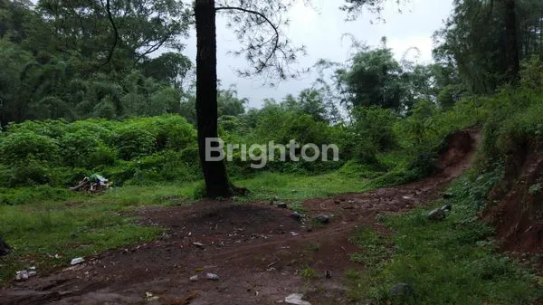 image TANAH MALINO (3)