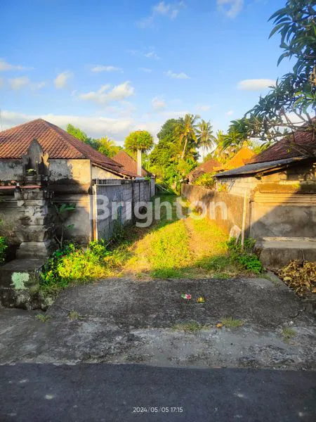 image OVERKONTRAK TANAH SELUAS 15 ARE DI LODTONDUH , UBUD (1)