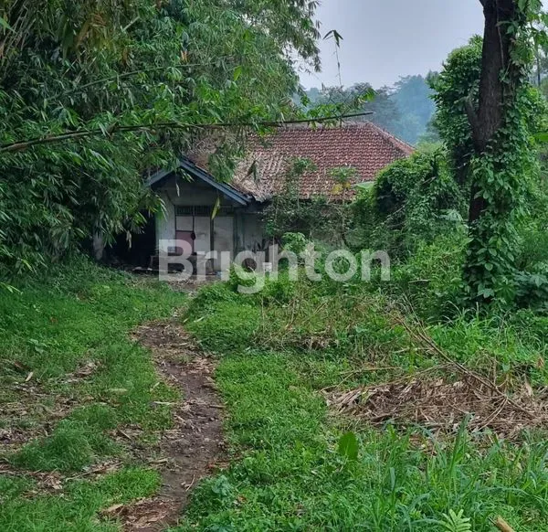 image SEBIDANG TANAH PLUS 2 BANGUNAN (6)