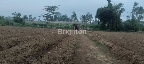 TANAH STRATEGIS PINGGIR JALAN PONCOKUSUMO