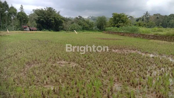 TANAH MAKALE TANA TORAJA