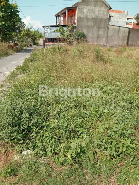 image DIJUAL TANAH MURAH DI GONDANG KLATEN SELATAN. (2)