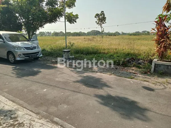DIJUAL TANAH LUAS BUNTALAN DI KLATEN TENGAH