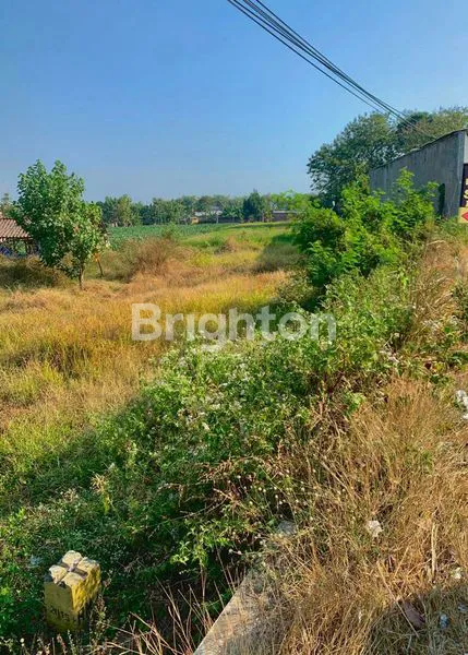 TANAH PEKARANGAN KERING DI JALAN NASIONAL SOLO - YOGYAKARTA