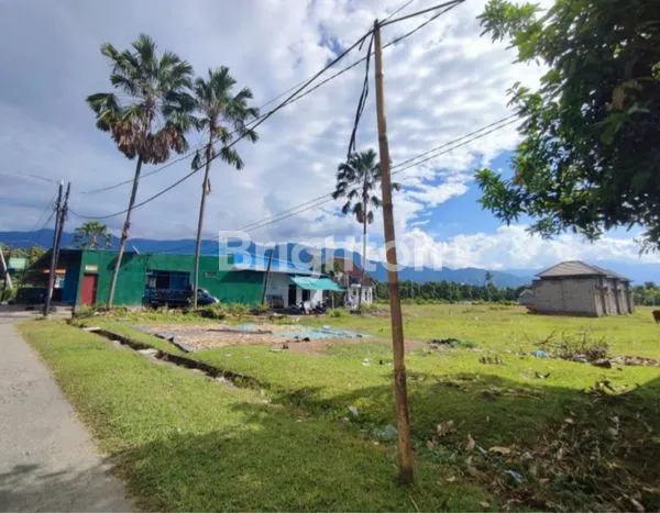 TANAH KAVLING HOOK DESA TINGA-TINGA DEKAT LOVINA