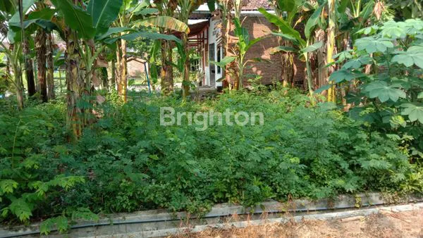 image DIJUAL TANAH  MADIUN KOTA (2)