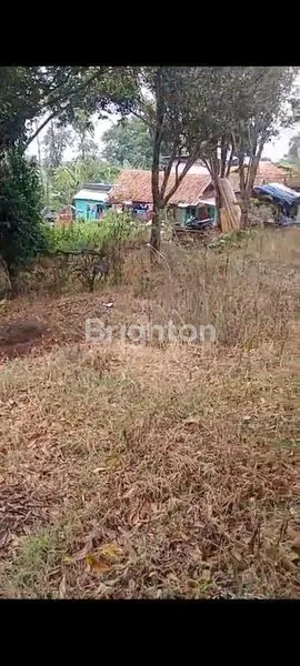 image TANAH KEBUN DI CISARUA BANDUNG BARAT (7)