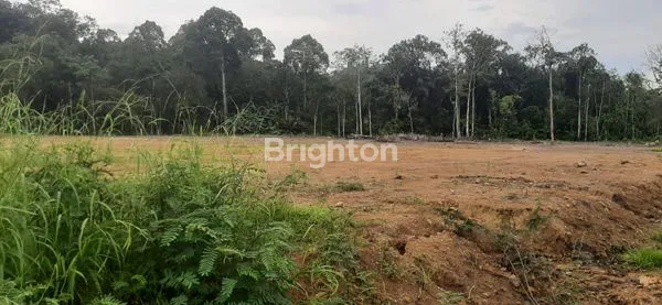 image LAHAN LUAS DITEPI JALAN UTAMA (2)