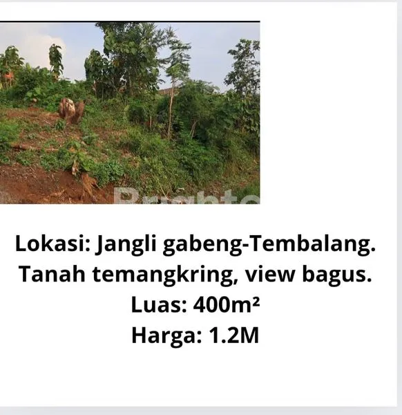 image TERLETAK DI PERUMAHAN ELITE, SIAP BANGUN | JANGLI GABENG, TEMBALANG, SEMARANG SELATAN (2)