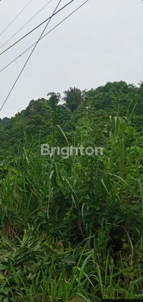image LAHAN LUAS DI TEPI JALAN UTAMA PINTU TOL (2)