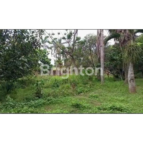 image TANAH DI LOKASI STRATEGIS DEKAT NUSA INDAH DAN VILLA CITRA TANAH BARU (7)