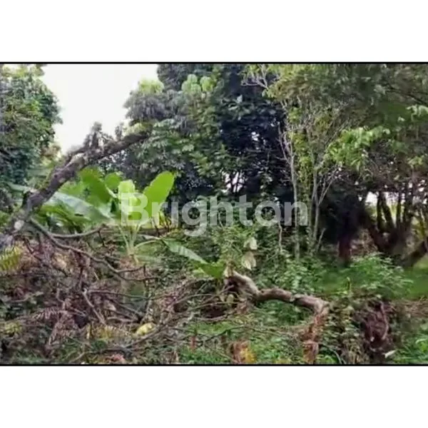 image TANAH DI LOKASI STRATEGIS DEKAT NUSA INDAH DAN VILLA CITRA TANAH BARU (8)