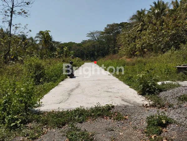 TANAH STRATEGIS DI PANJATAN KULONPROGO