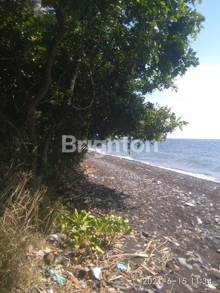 image TANAH DI PRIME AREA BULELENG, BALI (3)