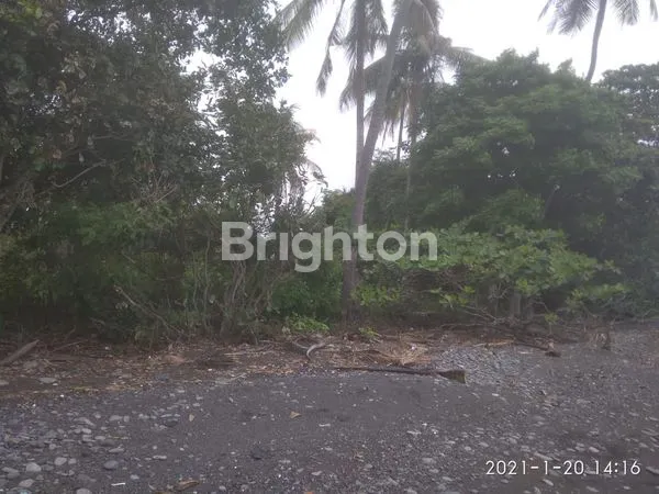 image TANAH DI PRIME AREA BULELENG, BALI (5)