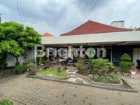 1000090454 watermarked