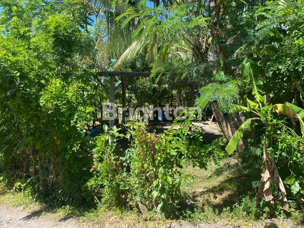 TANAH MURAH DI PERING GIANYAR