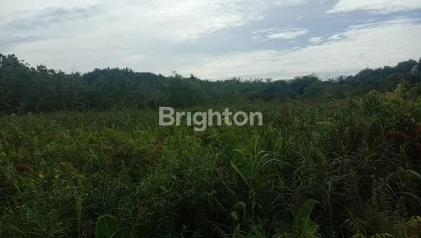 LAHAN STRATEGIS POROS BALIKPAPAN-SAMARINDA