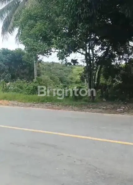 image LAHAN SANGAT STRATEGIS (1)