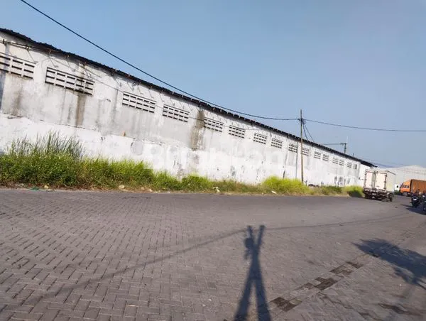 image GUDANG SIAP PAKAI DI MARGOMULYO - SURIMULIA (2)