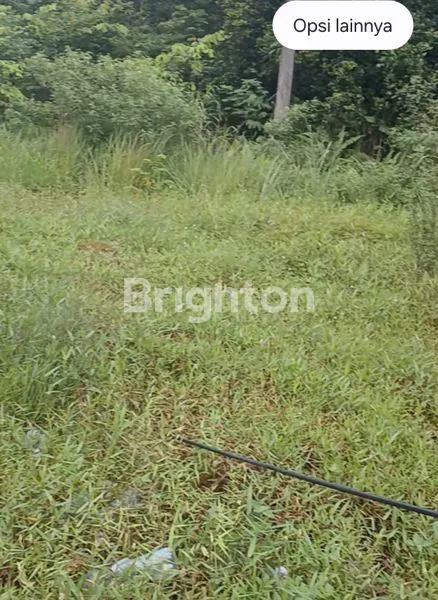 image TANAH DATAR TEPI JALAN SOEKARNO HATTA (3)