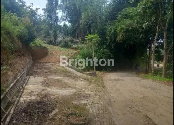 TANAH KEBUN DARANGDAN PURWAKARTA SUKATANI