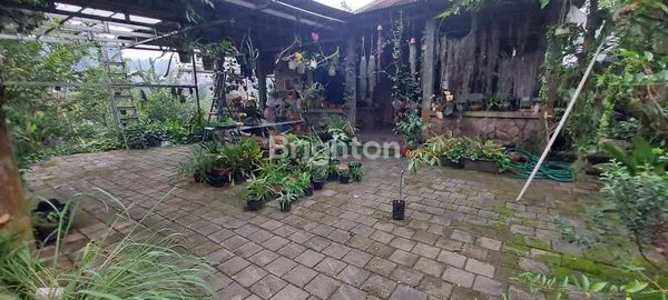 image TURUN HARGA \U203C\UFE0F VILLA ASRI, SEJUK DAN TENTRAM (1)
