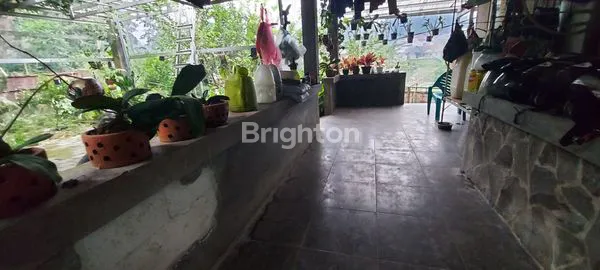 image TURUN HARGA \U203C\UFE0F VILLA ASRI, SEJUK DAN TENTRAM (4)