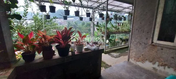 image TURUN HARGA \U203C\UFE0F VILLA ASRI, SEJUK DAN TENTRAM (5)