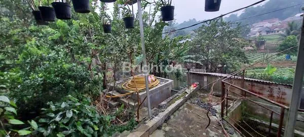 image TURUN HARGA \U203C\UFE0F VILLA ASRI, SEJUK DAN TENTRAM (6)