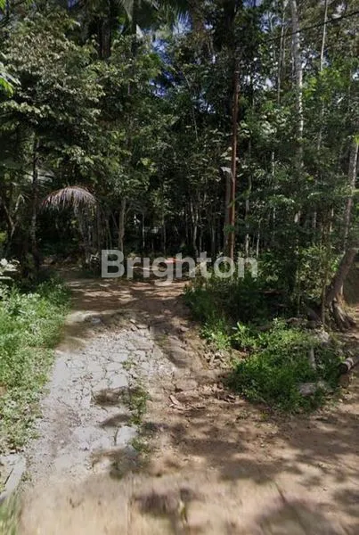 TANAH DI BOROBUDUR WISATA PRIORITAS