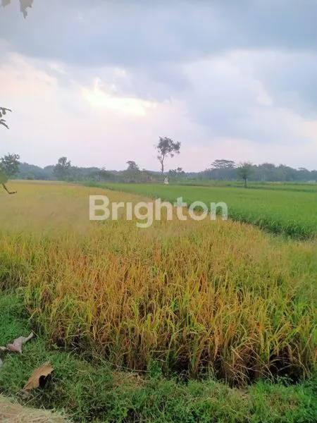 TANAH ZONA KUNING UT PERUMAHAN